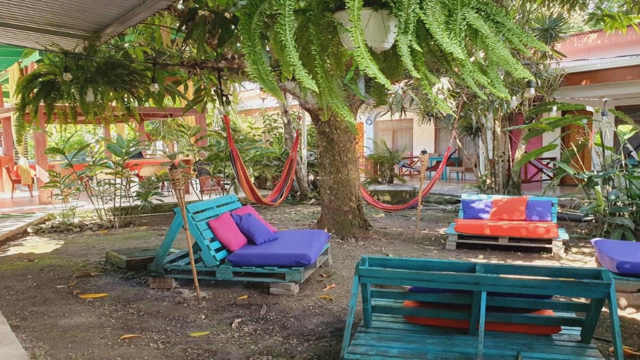 Cabinas Palmer Makanda Cahuita Kültér fotó