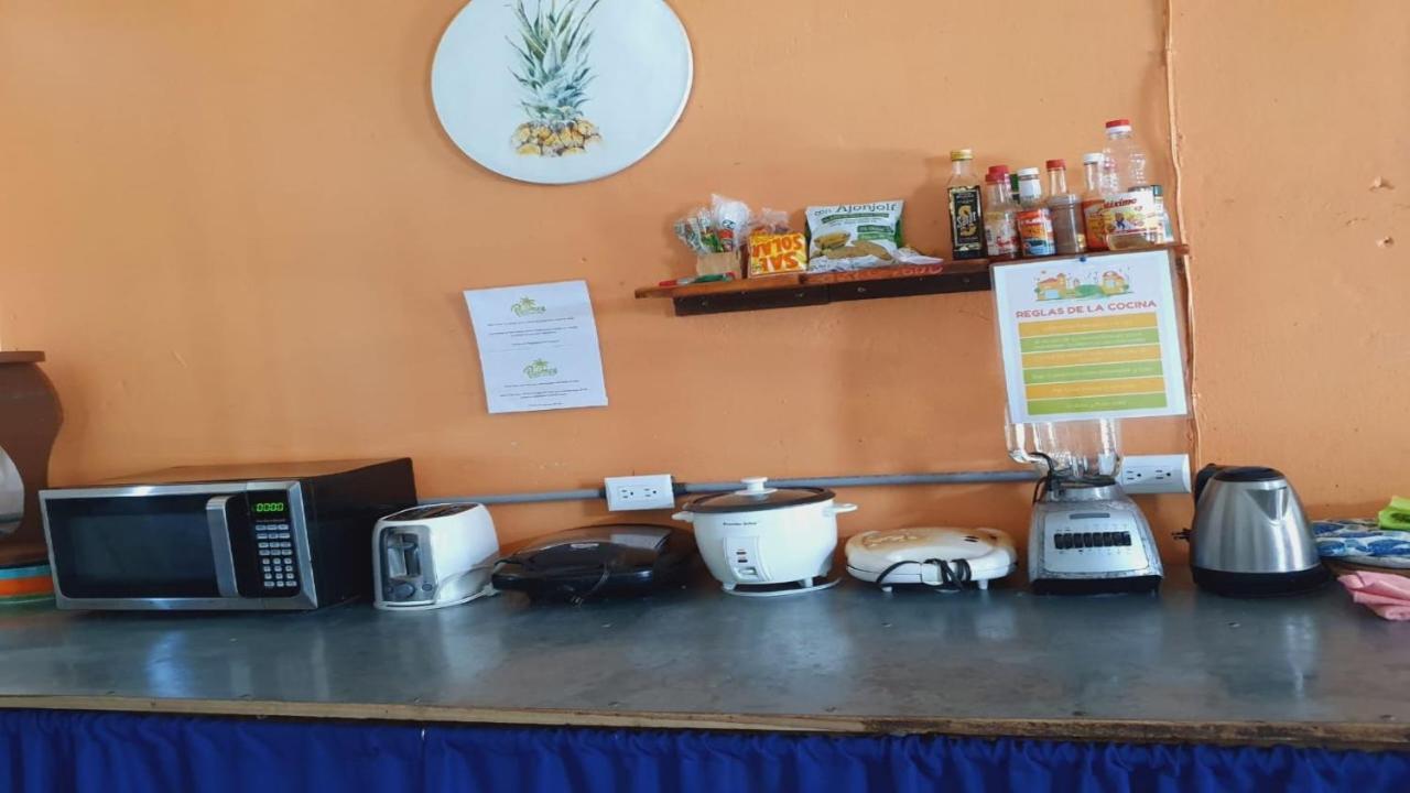 Cabinas Palmer Makanda Cahuita Kültér fotó