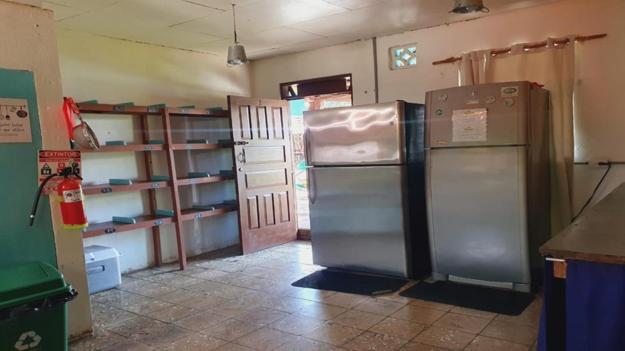 Cabinas Palmer Makanda Cahuita Kültér fotó