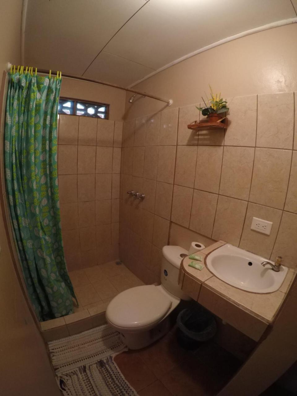 Cabinas Palmer Makanda Cahuita Kültér fotó