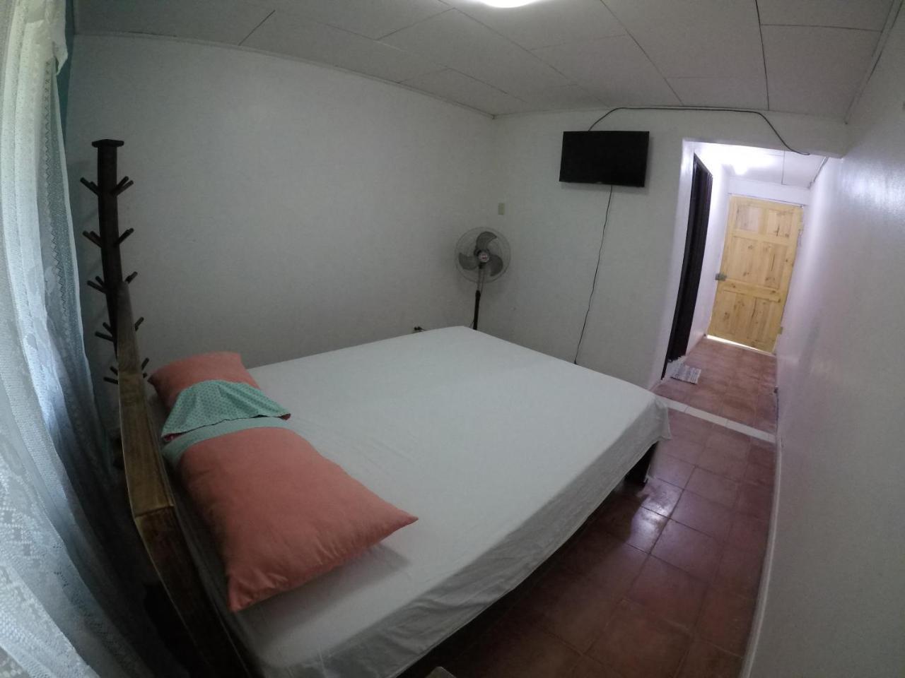 Cabinas Palmer Makanda Cahuita Kültér fotó